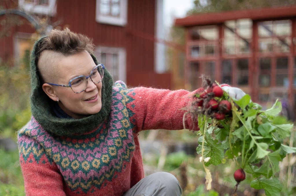 Kvinna i färgglad stickad tröja och glasögon håller upp ett knippe rädisor i en trädgård